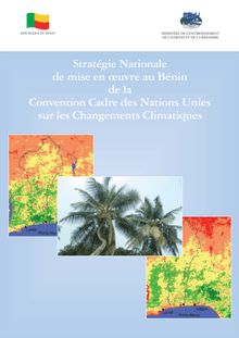 Stratégie Nationale de mise en oeuvre au Bénin de la Convention ...