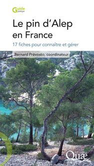 Le pin d Alep en France