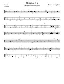 Partition ténor viole de gambe 3, alto clef, Madrigali a cinque voci, Libro 1