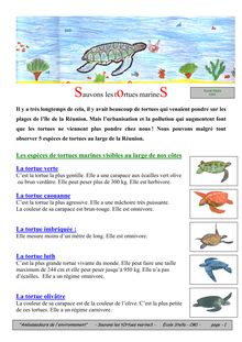 Ambassadeurs de l environnement Sauvons les tOrtues marineS Ecole Stella CM1 page