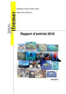 Rapport d activité 2010