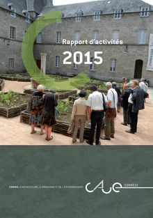 Rapport d activités 2015