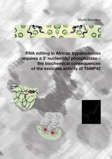 RNA editing in African trypanosomes requires a 3  nucleotidyl phosphatase [Elektronische Ressource] : the biochemical consequences of the exoUase activity of TbMP42 / von Moritz Niemann
