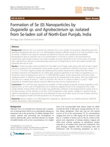 Formation of Se (0) Nanoparticles by Duganella sp. and Agrobacterium sp. isolated from Se-laden soil of North-East Punjab, India