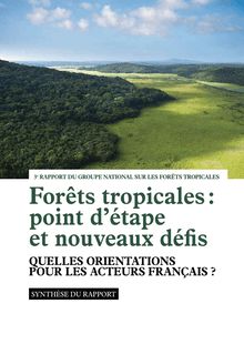 Forêts tropicales : point d étape et nouveaux défis. Quelles orientations pour les acteurs français ? 3ème rapport du Groupe national sur les forêts tropicales. : Synthese