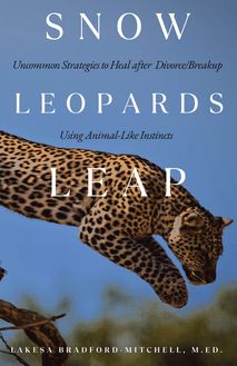 Snow Leopards Leap