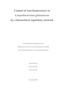 Control of iron homeostasis in Corynebacterium glutamicum by a hierarchical regulatory network [Elektronische Ressource] / presented by Julia Frunzke