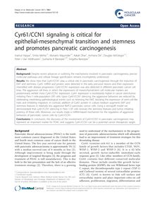 Cyr61/CCN1 signaling is critical for epithelial-mesenchymal transition and stemness and promotes pancreatic carcinogenesis