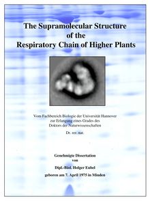 The supramolecular structure of the respiratory chain of higher plants [Elektronische Ressource] / von Holger Eubel