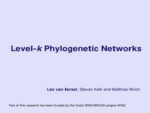 Level k Phylogenetic Networks