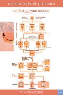 Vins rosés de Provence - Schéma de vinification