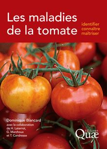Les maladies de la tomate