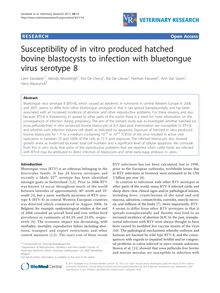 Susceptibility of in vitro produced hatched bovine blastocysts to infection with bluetongue virus serotype 8