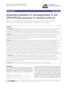 Dipeptidyl peptidase IV, aminopeptidase N and DPIV/APN-like proteases in cerebral ischemia