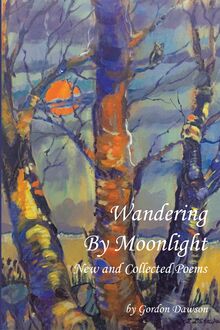 Wandering by Moonlight
