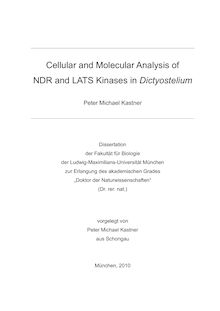 Cellular and molecular analysis of NDR and LATS kinases in dictyostelium [Elektronische Ressource] / Peter Michael Kastner. Betreuer: Michael Schleicher