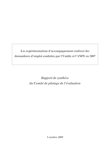 Les expérimentations d accompagnement renforcé des demandeurs d emploi conduites par l Unédic et l ANPE en 2007 - Rapport de synthèse du Comité de pilotage de l évaluation
