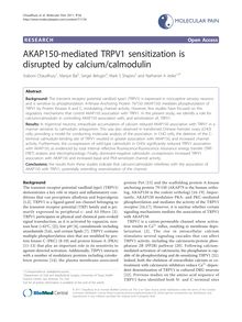 AKAP150-mediated TRPV1 sensitization is disrupted by calcium/calmodulin