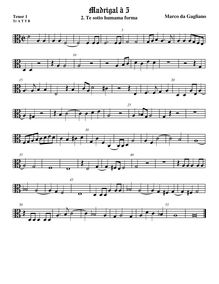 Partition ténor viole de gambe 2, alto clef, Madrigali a cinque voci, Libro 1