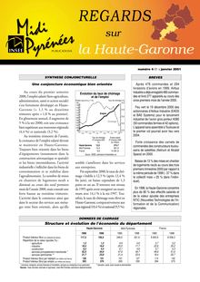 Les emplois jeunes en Haute-Garonne