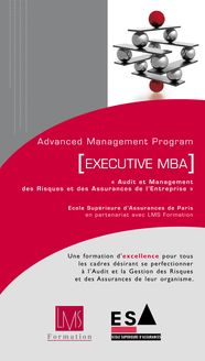 Executive-MBA-Audit-et-management-du-risque