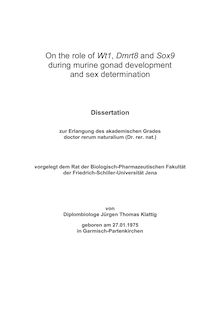 On the role of Wt1, Dmrt8 and Sox9 during murine gonad development and sex determination [Elektronische Ressource] / von Jürgen Thomas Klattig
