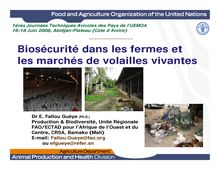 Biosécurité dans les fermes et les marchés de volailles vivantes