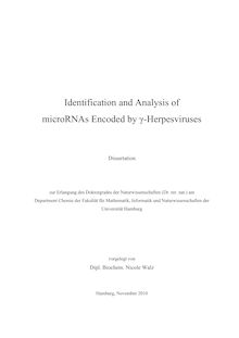 Identification and analysis of microRNAs encoded by {γ-Herpesviruses [gamma-Herpesviruses] [Elektronische Ressource] / vorgelegt von Nicole Walz