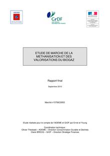 Etude de Marche Biogaz_Rapport Final sans Annexes confiden
