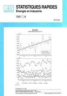 STATISTIQUES RAPIDES Énergie et industrie. 1991 6
