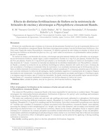 Efecto de distintas fertilizaciones de fósforo en la resistencia de brinzales de encina y alcornoque a Phytophthora cinnamomi Rands