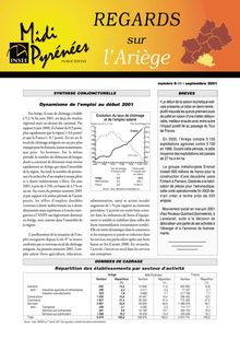 L industrie en Ariège : Regards n°6