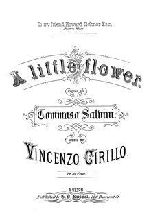 Partition Vocal score, Un fiore, A little flower, Cirillo, Vincenzo