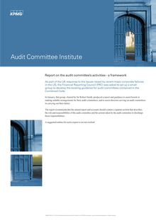 205058 Audit Co Activities