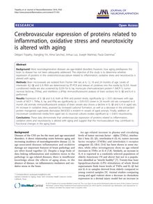 Cerebrovascular expression of proteins related to inflammation, oxidative stress and neurotoxicity is altered with aging