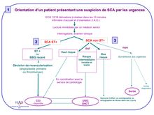 Orientation SCA urgences M1