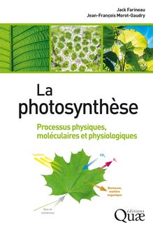 La photosynthèse