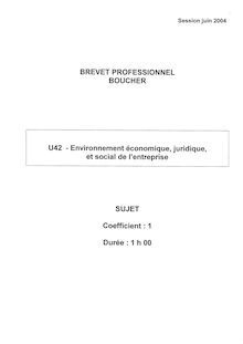 Environnement économique, juridique et sociale de l entreprise 2004 BP - Boucher