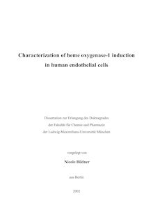 Characterization of heme oxygenase-1 induction in human endothelial cells [Elektronische Ressource] / vorgelegt von Nicole Bildner