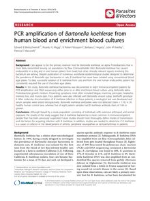 PCR amplification of Bartonella koehleraefrom human blood and enrichment blood cultures
