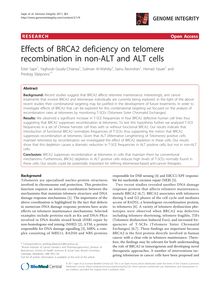 Effects of BRCA2 deficiency on telomere recombination in non-ALT and ALT cells