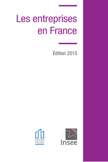 Les entreprises en France en 2015 : enquête de l INSEE