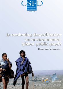 Is combating desertification a global public good? Elements of an answer... 