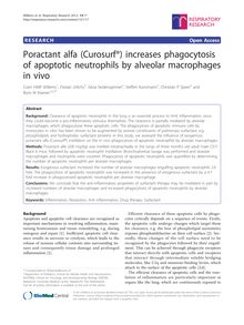 Poractant alfa (Curosurf®) increases phagocytosis of apoptotic neutrophils by alveolar macrophages in vivo