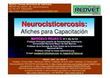 Neurocisticercosis: Afiches para Capacitación