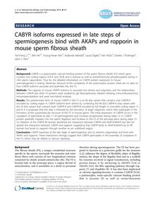 CABYR isoforms expressed in late steps of spermiogenesis bind with AKAPs and ropporin in mouse sperm fibrous sheath