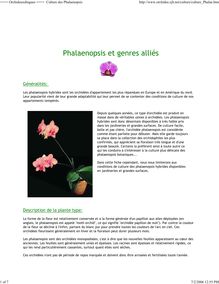 Phalaenopsis et genres alliés