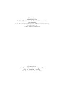 A possible solution of the flavor problem and radiative neutrino masses [Elektronische Ressource] / put forward by Adisorn Adulpravitchai