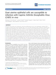 Goat uterine epithelial cells are susceptible to infection with Caprine Arthritis Encephalitis Virus (CAEV) in vivo