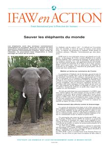 éléphant - Sauver les éléphants du monde